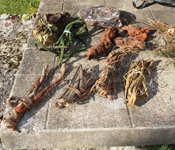 BABA ROOTS TONIC INFERTILITY FIBROIDS INSOMNIA ANEMIA BOOST ENERGY HELP FATIGUE